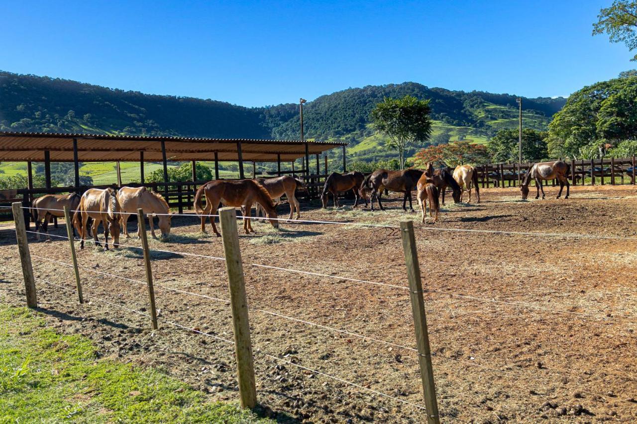 Pousada Country Santana'S Ranchサン・ペードロ エクステリア 写真